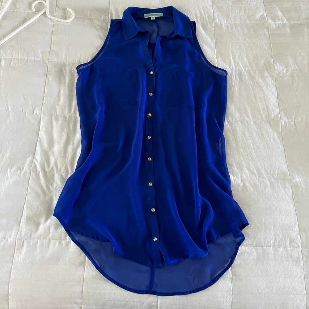 Sheer Sleeveless Blouse